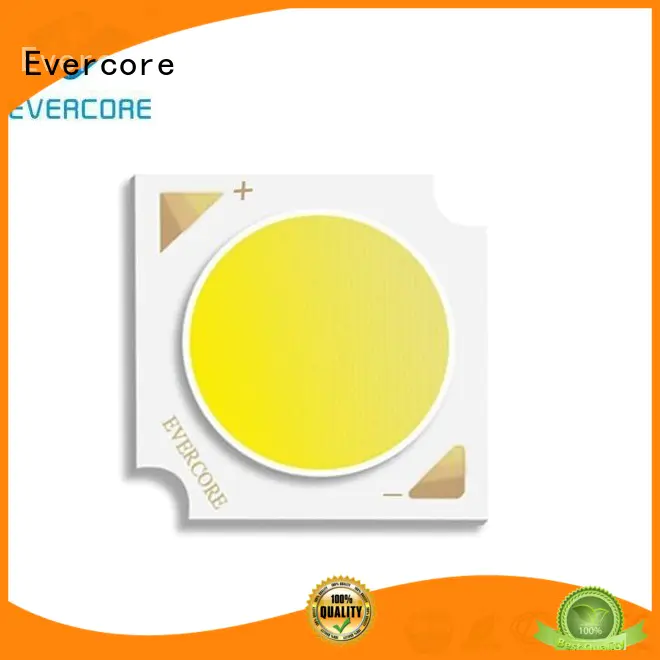 Evercore Brand led cob Flip Chip manufacture