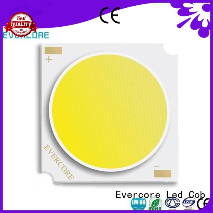 Custom lighting modules rgb cob led Evercore led