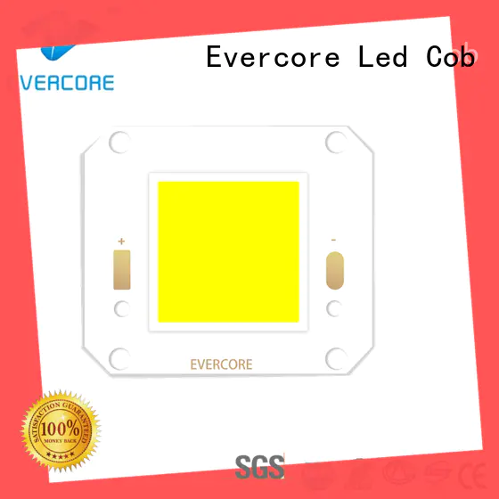 Evercore small outside downlights led exporter for lighting