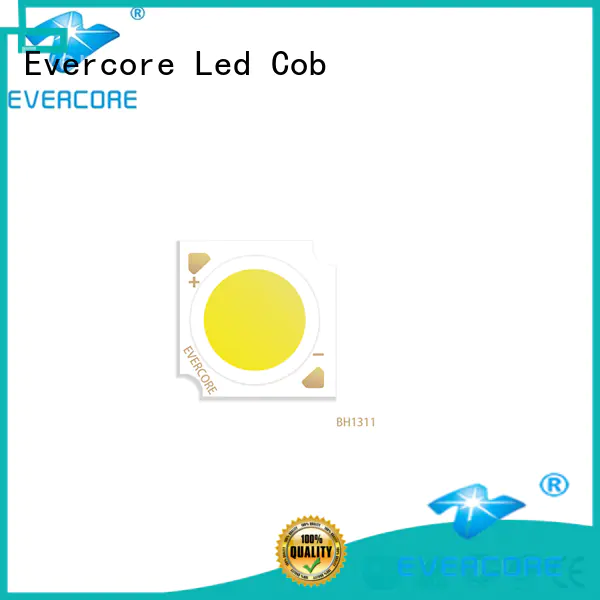 Evercore new generation commercial lighting cob wholesale for sale