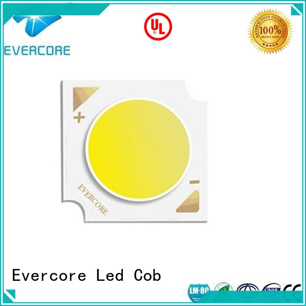 High CRI certified cob rgb cob led Evercore Brand