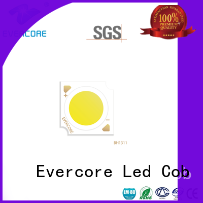 Evercore cheap Led Cob Chip manufacturer for lighting