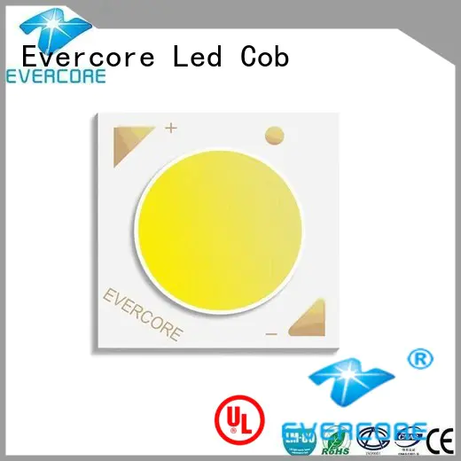 Quality Evercore Brand led cob led kit