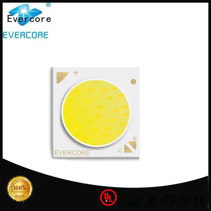 Evercore easy installation cob led bulb color for sale