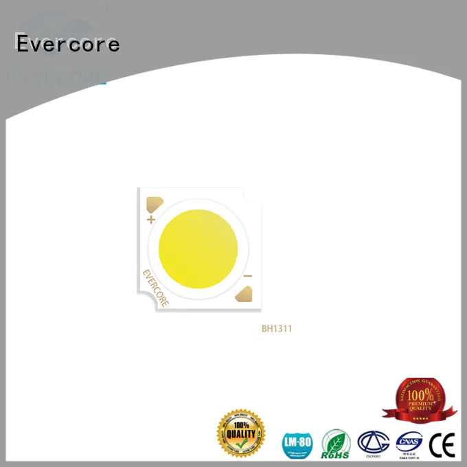 Evercore led smd led chip Asia company for dealer