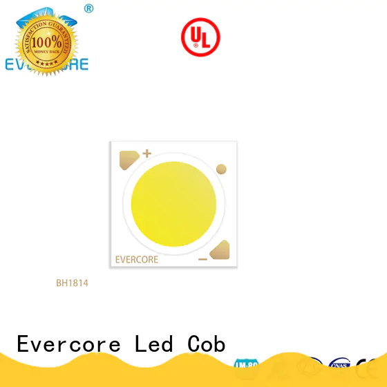 Evercore bh1311 led downlight kit customized for sale