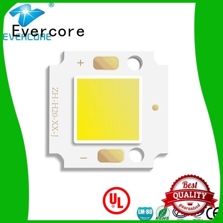 LED COB for outdoor small flood light /Garden lamp (OH2011) 10W