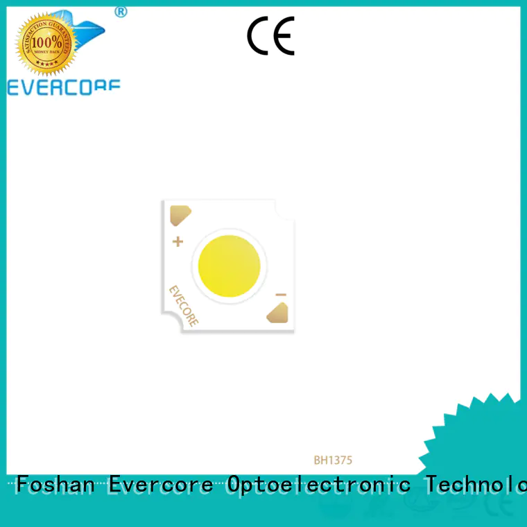 Evercore bh rgb cob led supplier for lighting