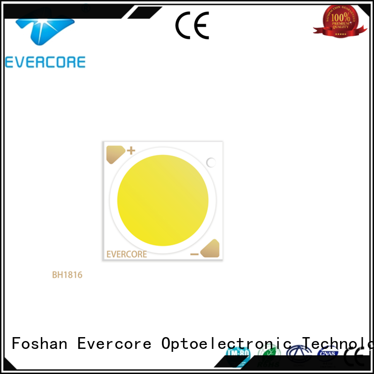 Evercore green Cob Led factory for lighting