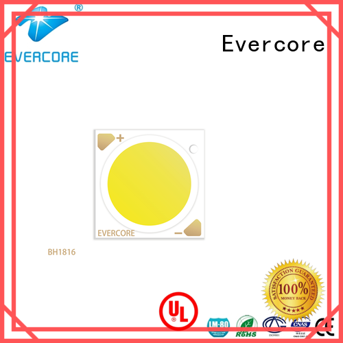 Evercore lamp Cob Led supplier for lighting