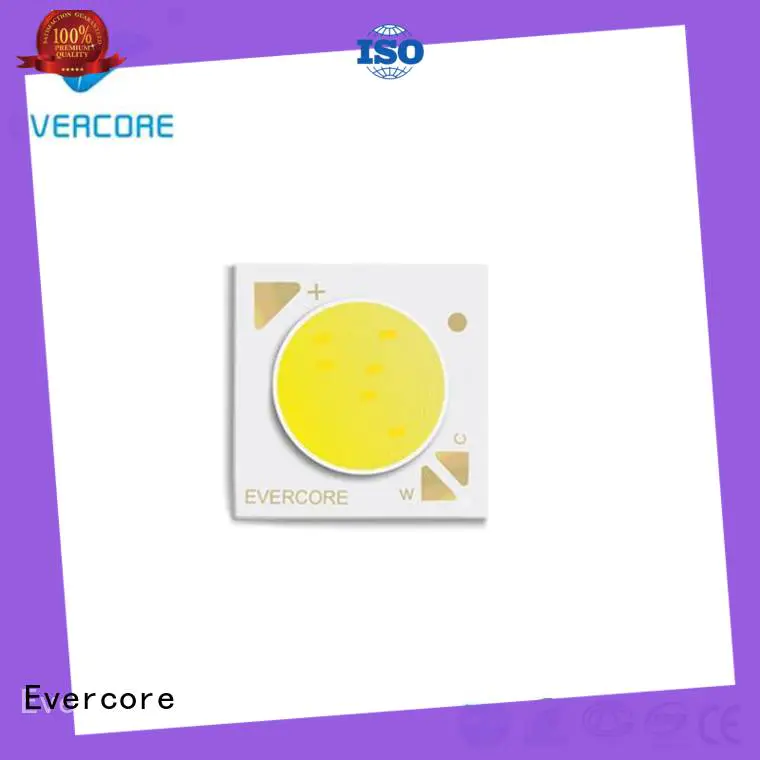 Evercore long lifespan daylight led color bk16105 for wholesale