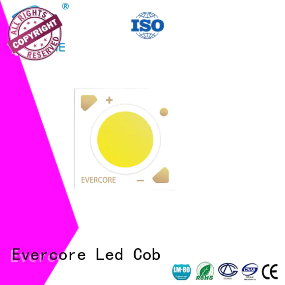 Evercore cheap Led Cob Chip factory for distribution