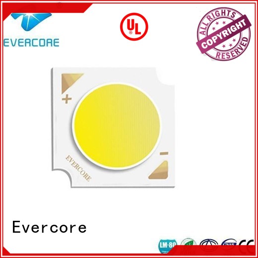 Evercore desk Led Cob Chip supplier for distribution