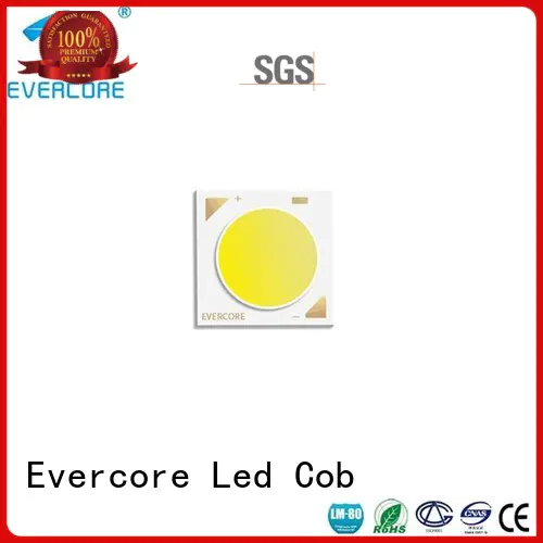 Evercore easy installation cob led module bulk production for wholesale