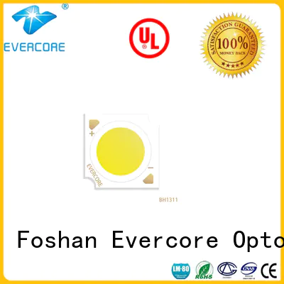 spot Cob Led manufacturer for lighting Evercore