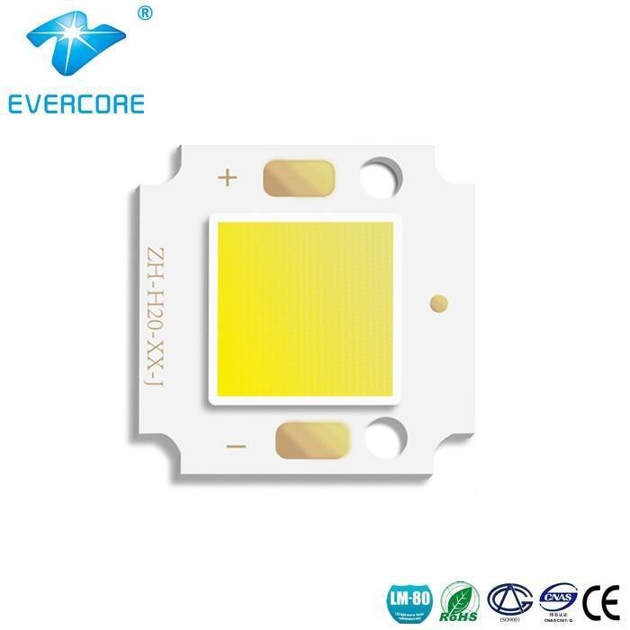 Evercore LED COB for outdoor small flood light /Garden lamp (OH2011) 10W Outdoor Lighting COB image14