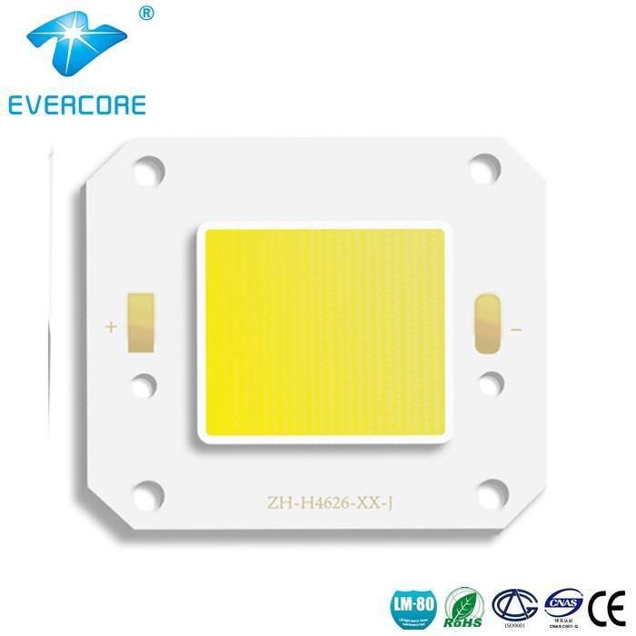 Evercore LED COB for High bay light/. flood light/ Tunnel Light (OH46248) 20W-80W Outdoor Lighting COB image16