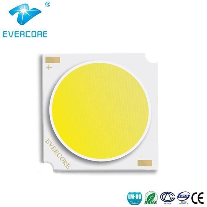 Evercore BD1917  COB LED Flip Chip COB image13