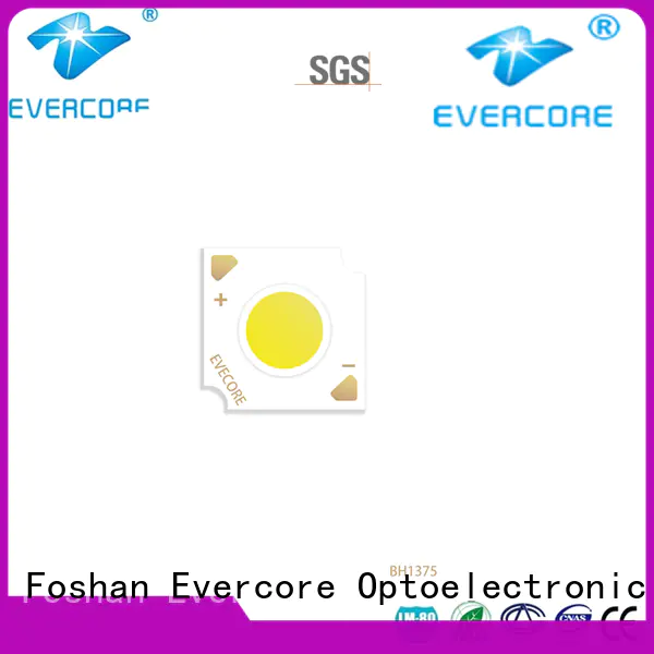 Evercore bd13105 chip cob Asia company for sale