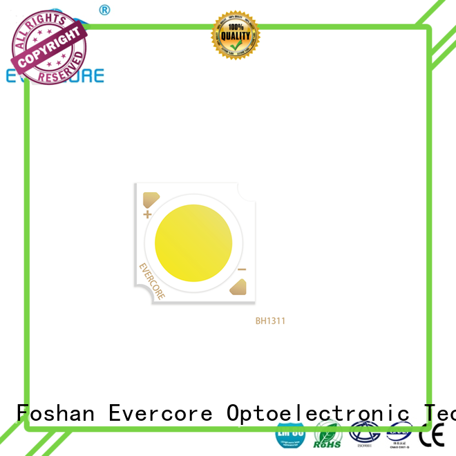 Evercore ） rgb cob led supplier for distribution