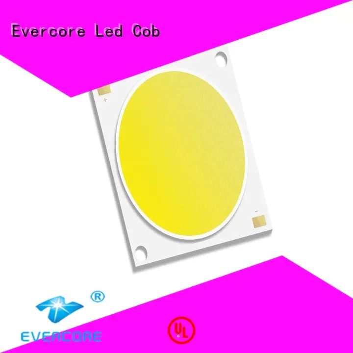 Evercore high lighting efficiency led modules cob