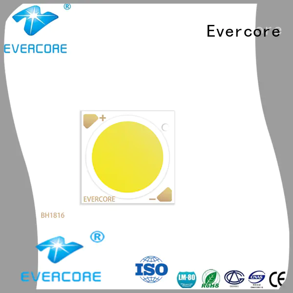 Evercore （bh1816 Led Cob Chip manufacturer for sale