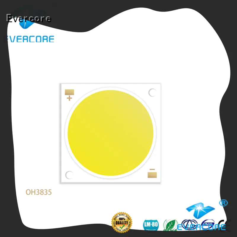 Evercore lamp spot led cob from China for lighting