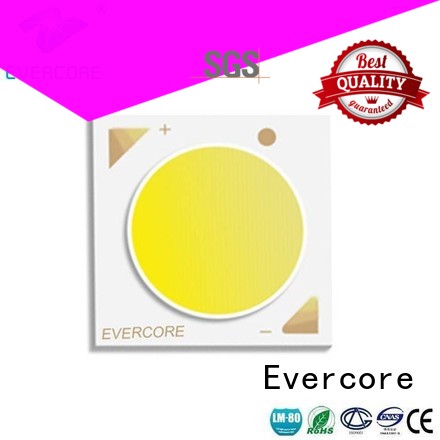 Evercore Brand LM-80 cob High CRI Cob Led Module