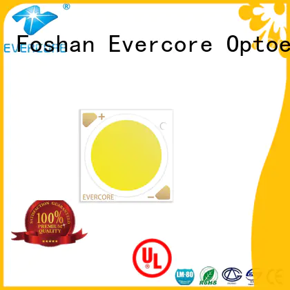 Evercore Low cost Cob Led supplier for distribution