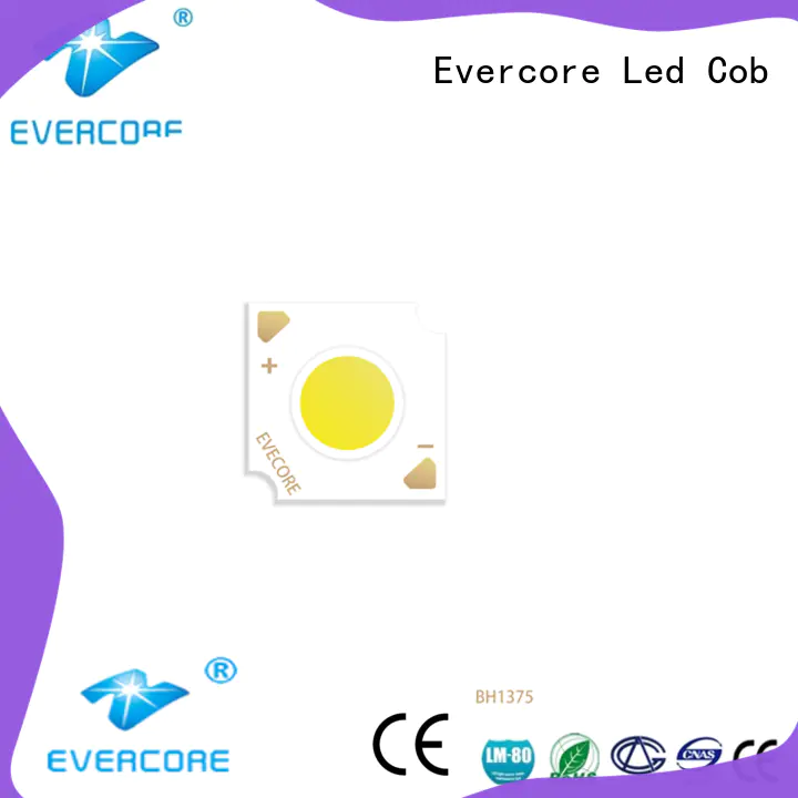 Evercore h19 Led Cob Chip supplier for distribution