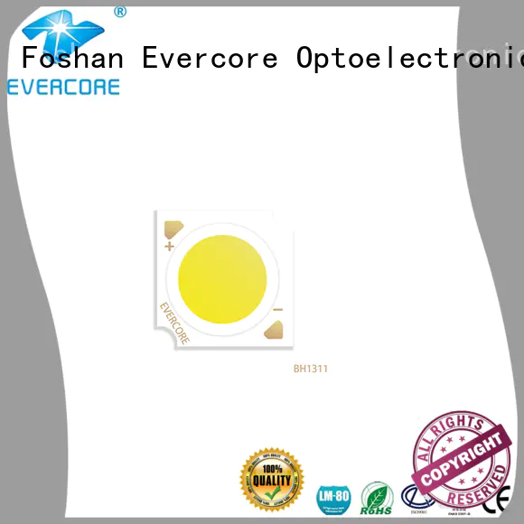 Evercore hotel foco led colores customized for distribution