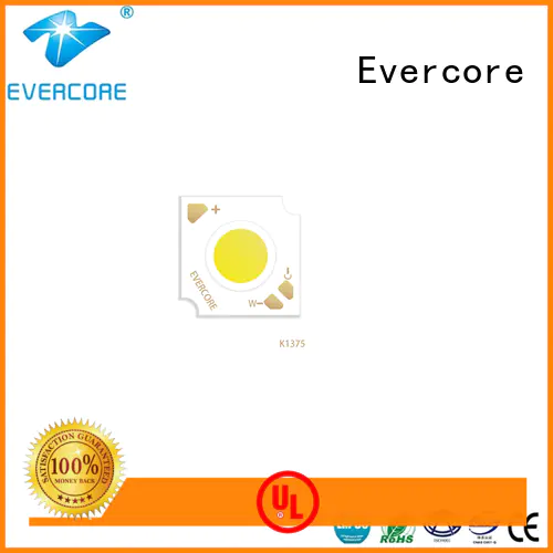 Evercore bk16105 led color manufacturer for sale