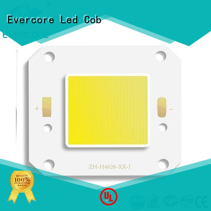 high lighting efficiency led cob modules Evercore Brand