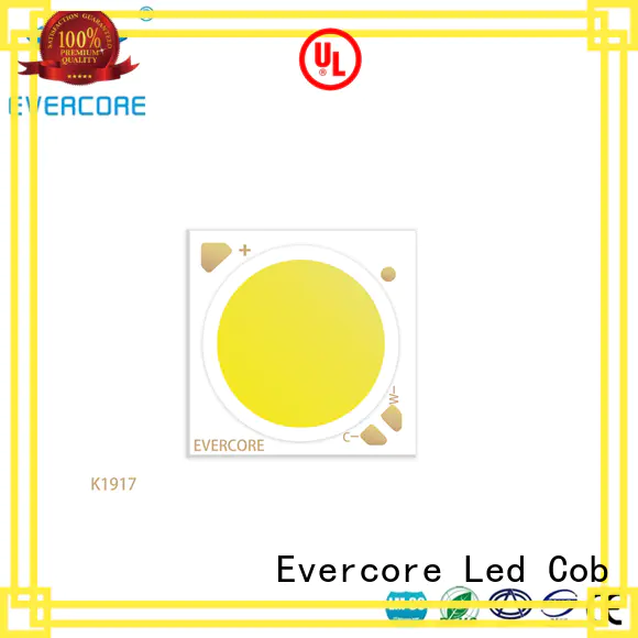 Evercore dim cob led module bulk production for wholesale
