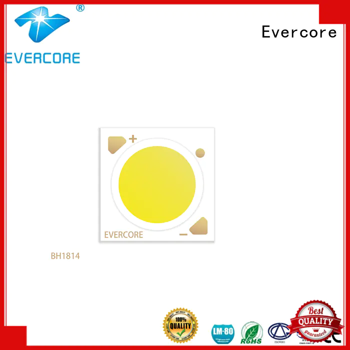 Evercore affordable downlight cob customized for market