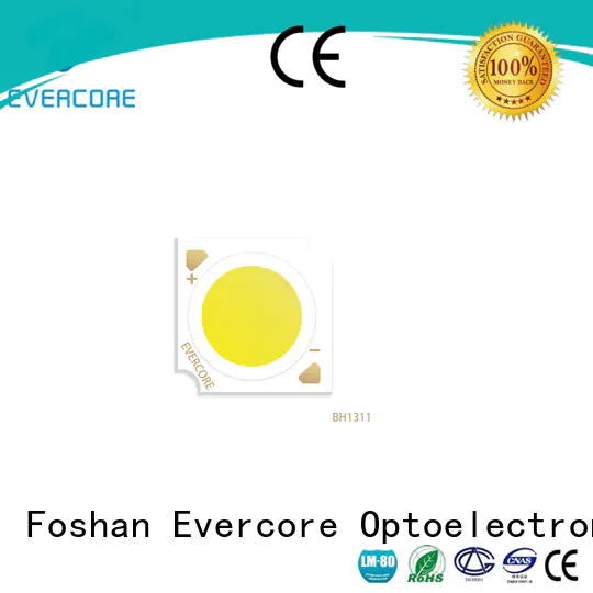 Evercore best smd led chip factory for sale