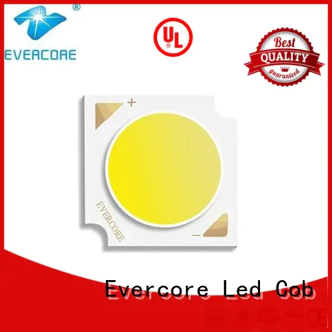 Wholesale sunlight downlight cob Evercore Brand