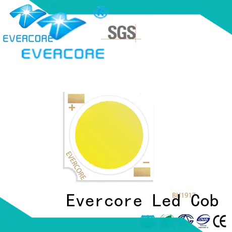 Evercore spot downlight cob factory for market