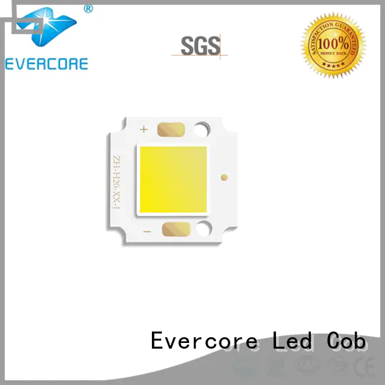 Evercore most popular outside garden lights from China for distribution