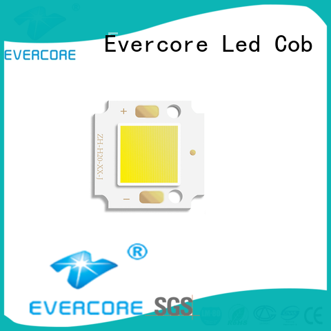 Evercore modules outside garden lights from China for distribution