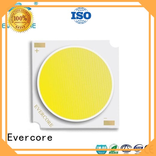 Evercore fc66200 chip cob Asia company for dealer