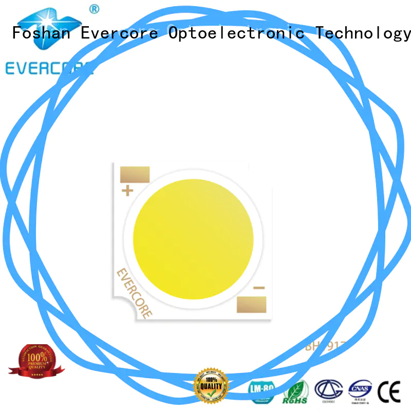 Evercore professional foco led colores customized for sale