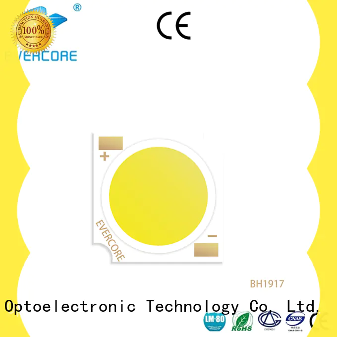 Evercore affordable downlight cob customized for distribution