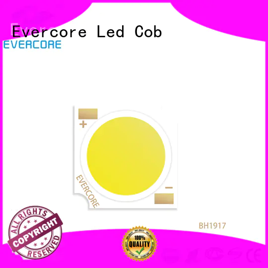 Evercore cri97 led downlight kit customized for distribution
