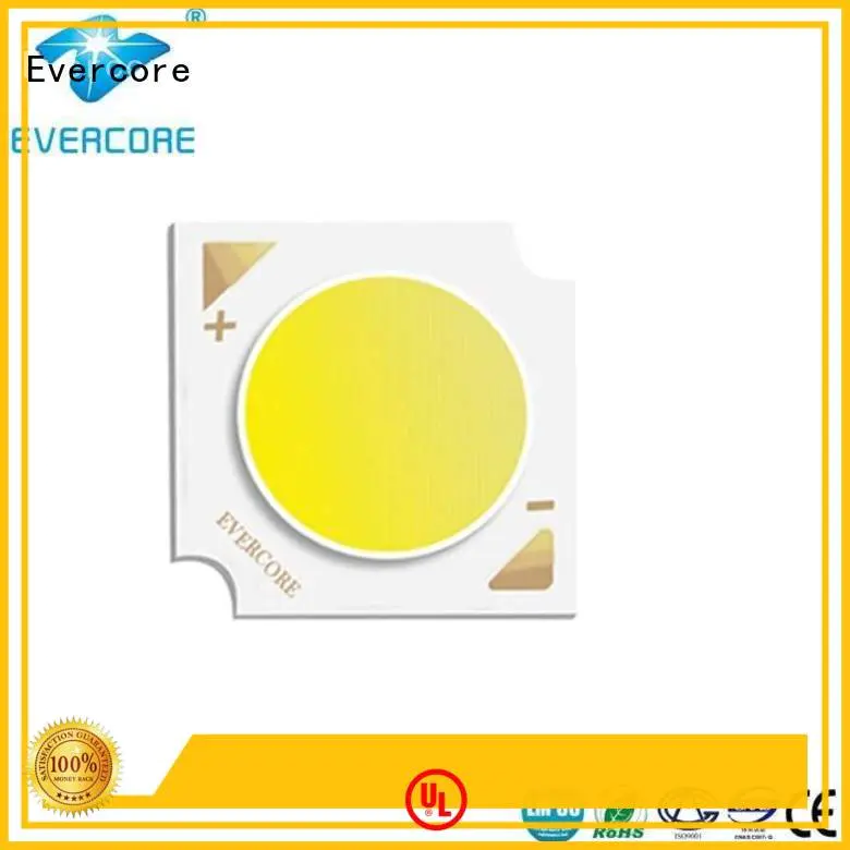 Evercore Brand linear commercial  lighting cob leds 36W supplier