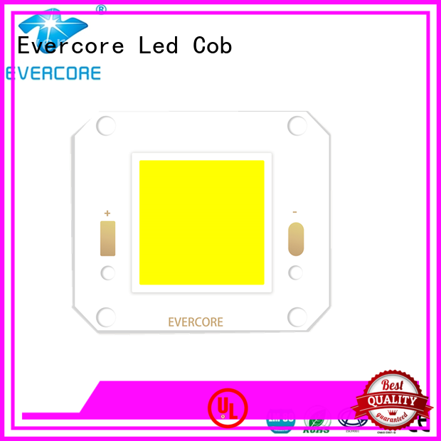 Evercore low MOQ outside garden lights exporter for lighting