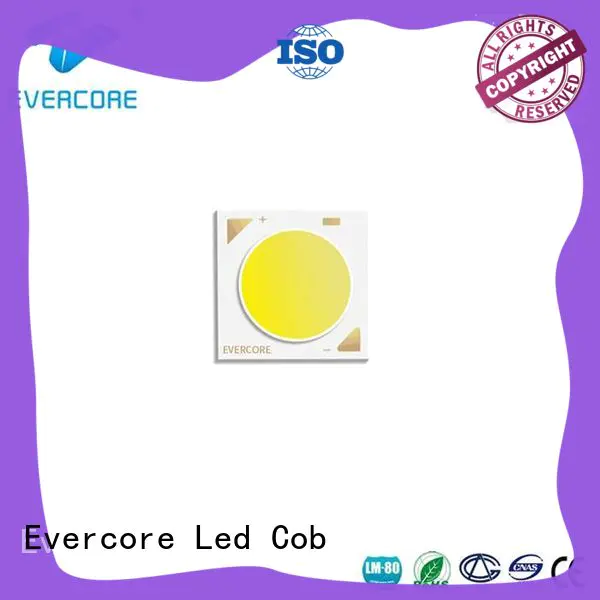 Evercore adjustable color led supplier for wholesale