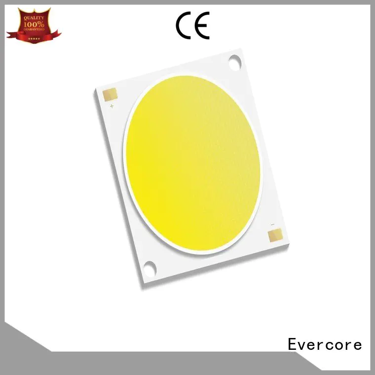 Hot high lighting efficiency modules Evercore Brand