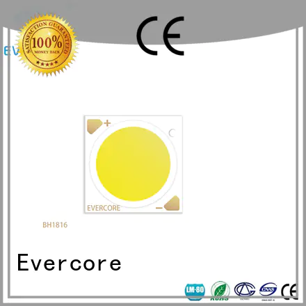 Evercore new led downlight kit factory for distribution