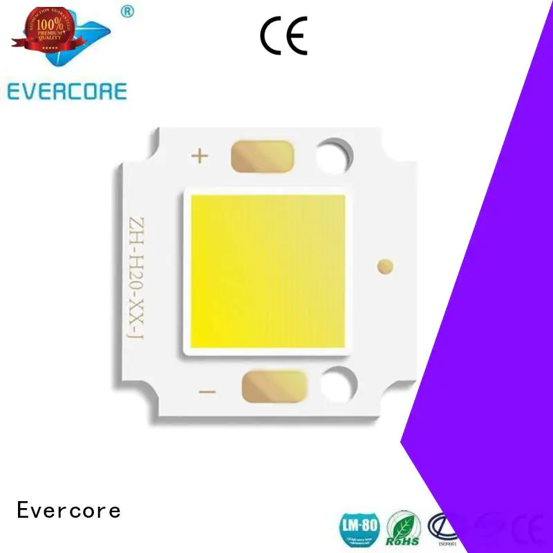 led Cold light modules cob Evercore company